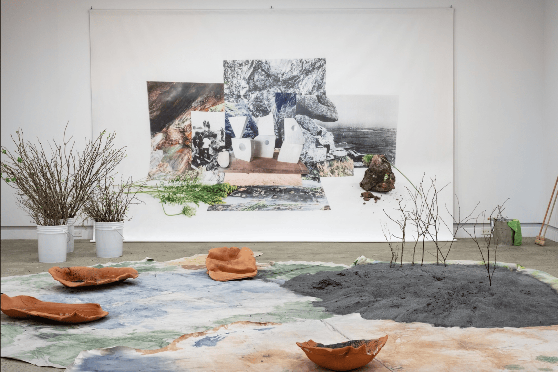 Oeuvre d'art en salle avec plantes