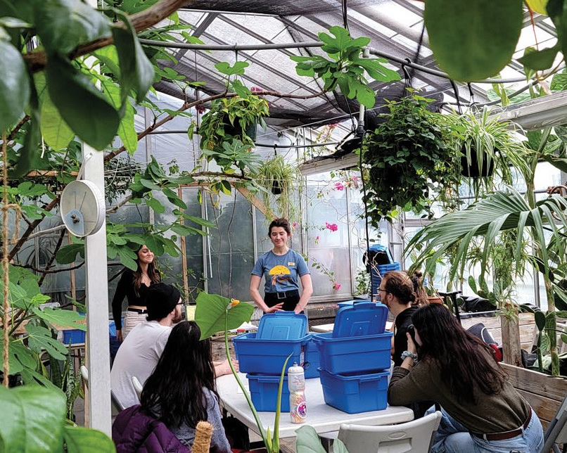 Une oasis sur le toit de la serre de Concordia