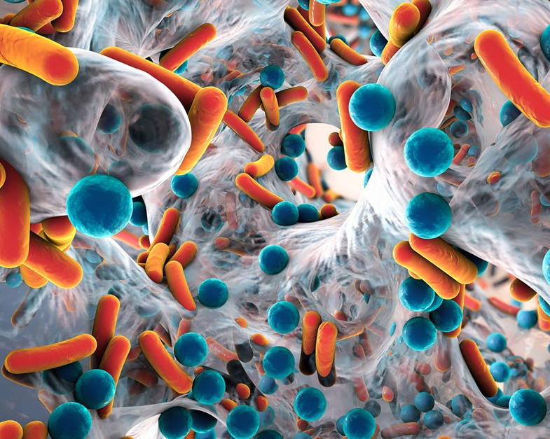 La résistance aux antimicrobiens est une menace mondiale que nous devons tous combattre