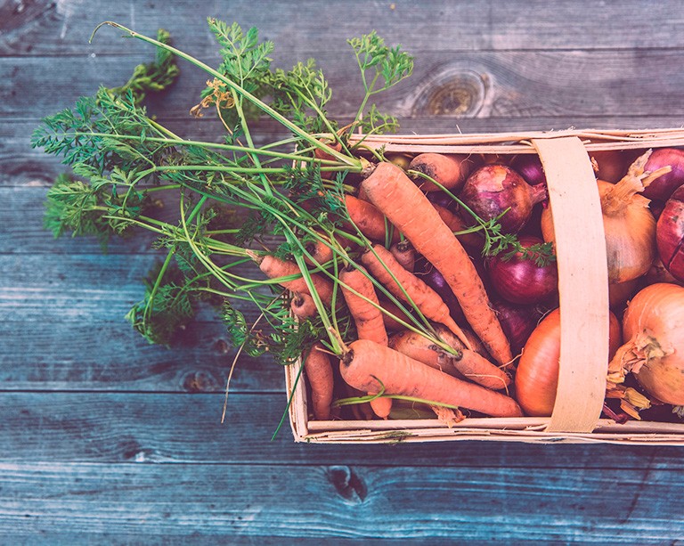 Donnez votre opinion sur l’avenir de l’alimentation à Concordia