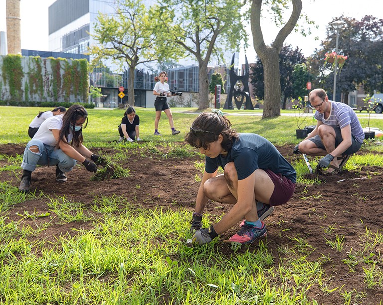 Un nouveau jardin étudiant pour reverdir le campus Loyola de Concordia
