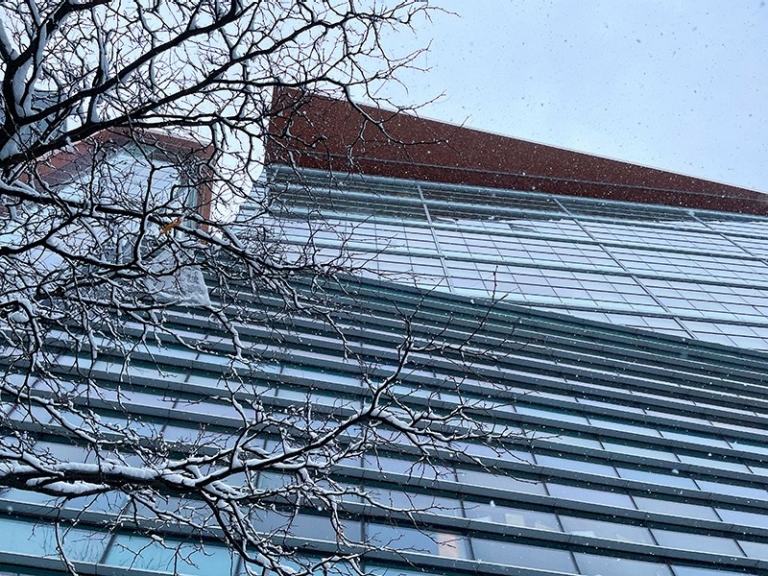 Grand immeuble de ville avec un arbre bordé de neige à l'avant