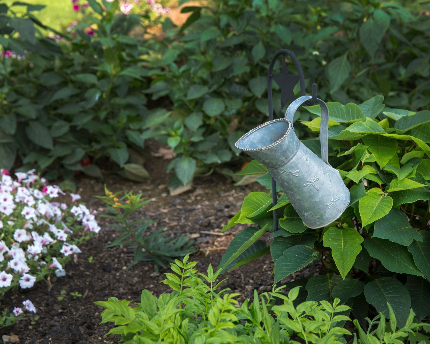 En mode solution. L’été, on fait l’école jardinière !