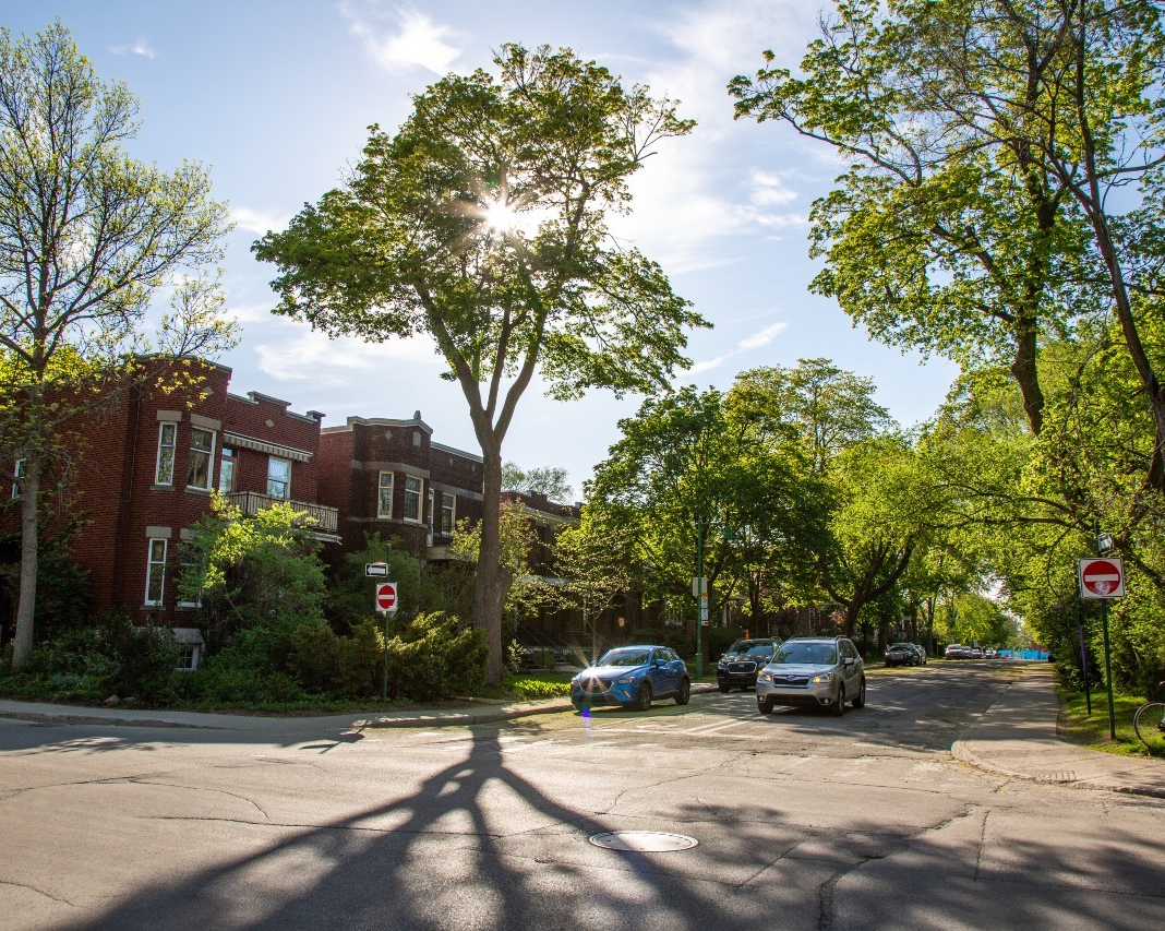 L’importance du leadership climatique au Canada