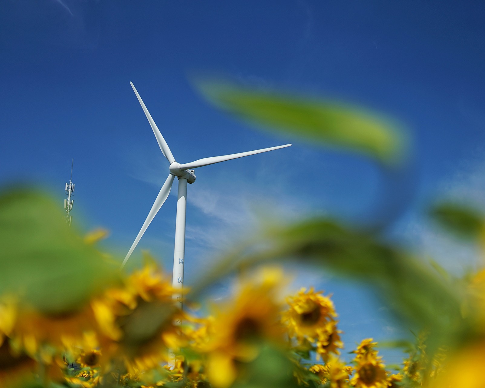 Soleil et vent ne suffisent plus, le stockage d’énergie est un enjeu de survie