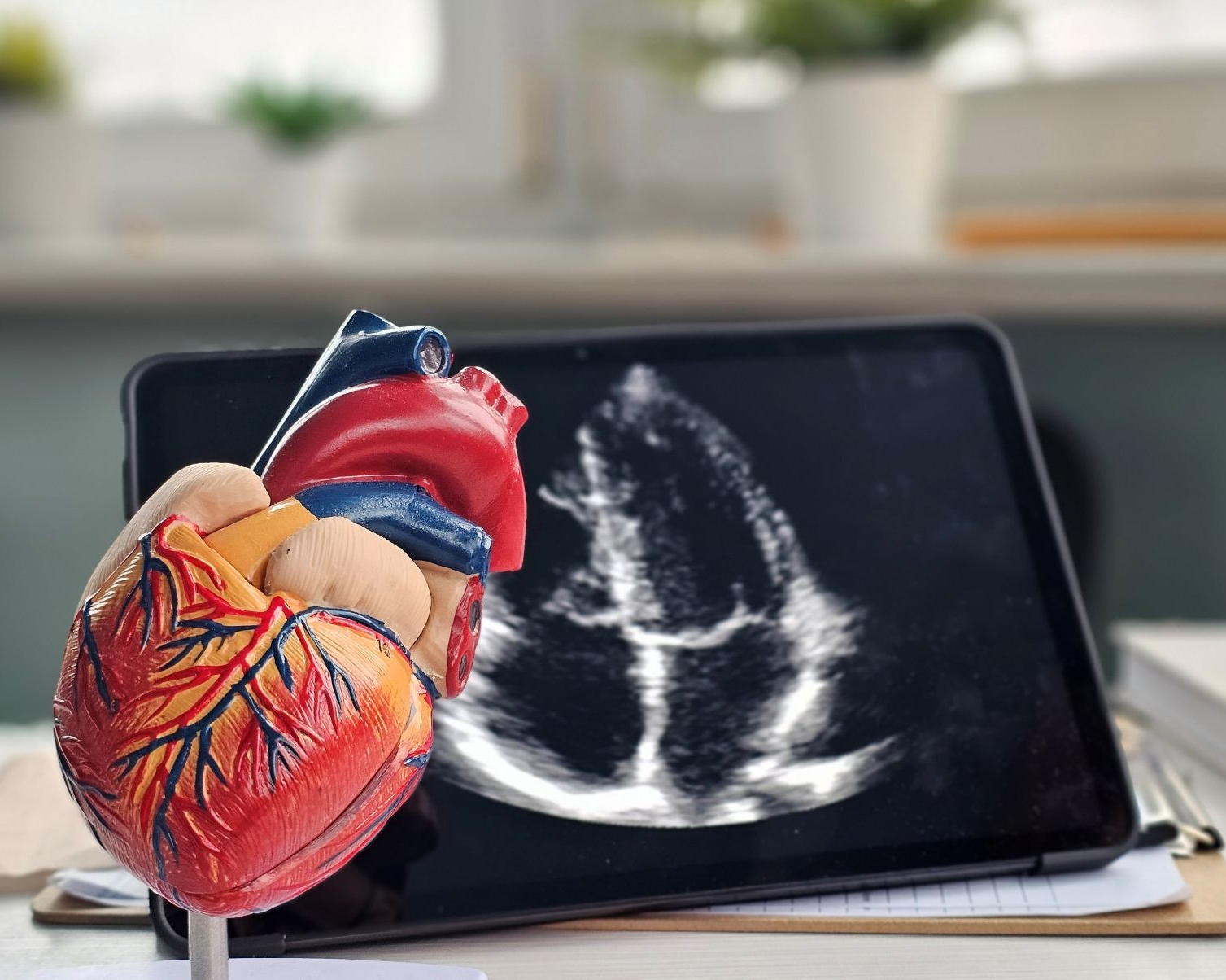 RECHERCHE : Un nouveau système robotisé piloté par l’IA réalise des échocardiographies sans assistance humaine