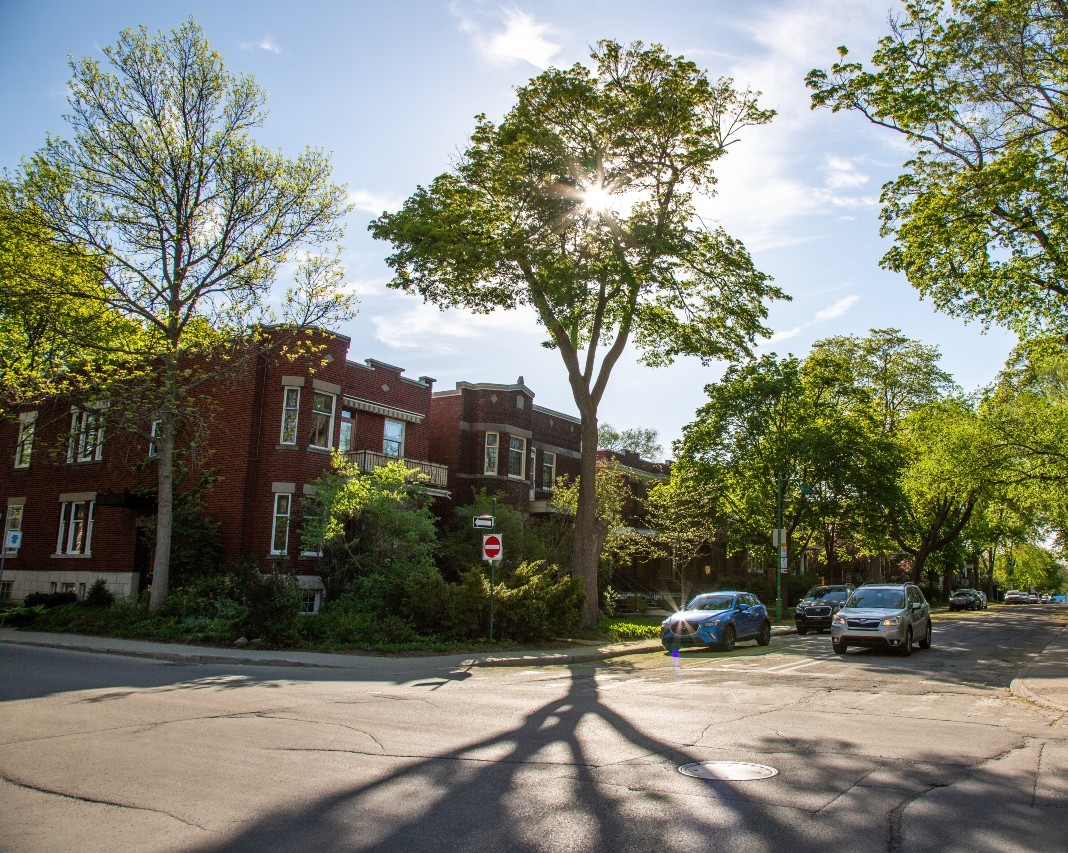 Le marché immobilier résilient du Canada offre de la confiance dans un monde d’incertitude climatique